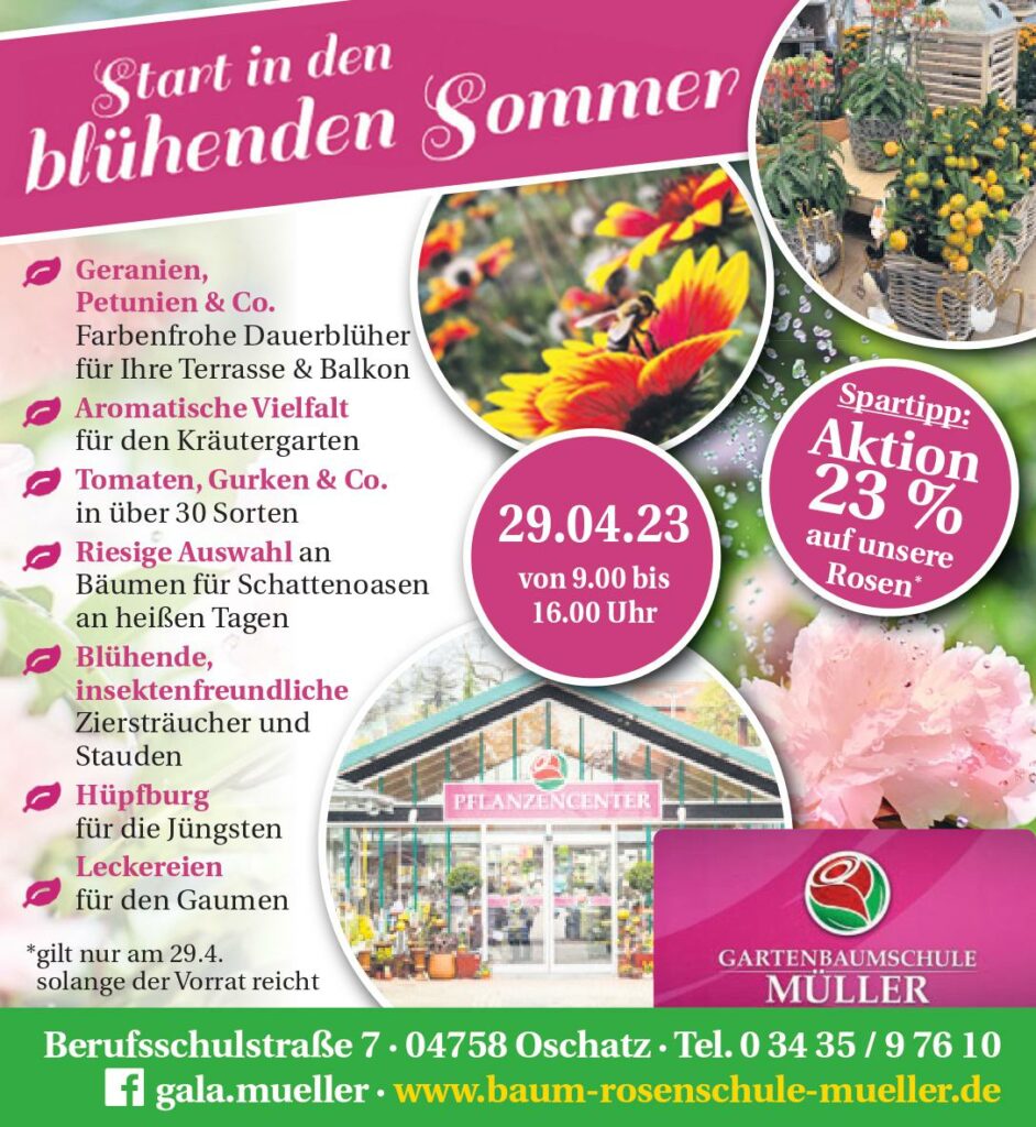 Start in den blühenden Sommer Veranstaltung am Wochenende bei der Baum- und Rosenschule Müller in Oschatz