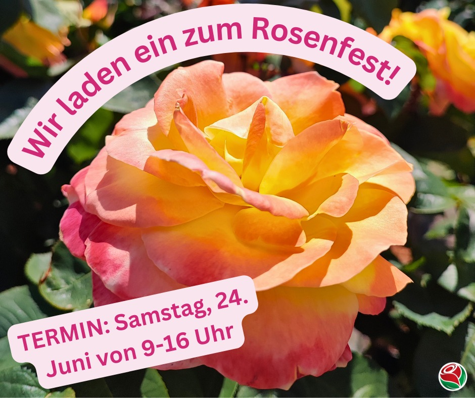 Rosenfest Baumschule Müller Oschatz Sachsen