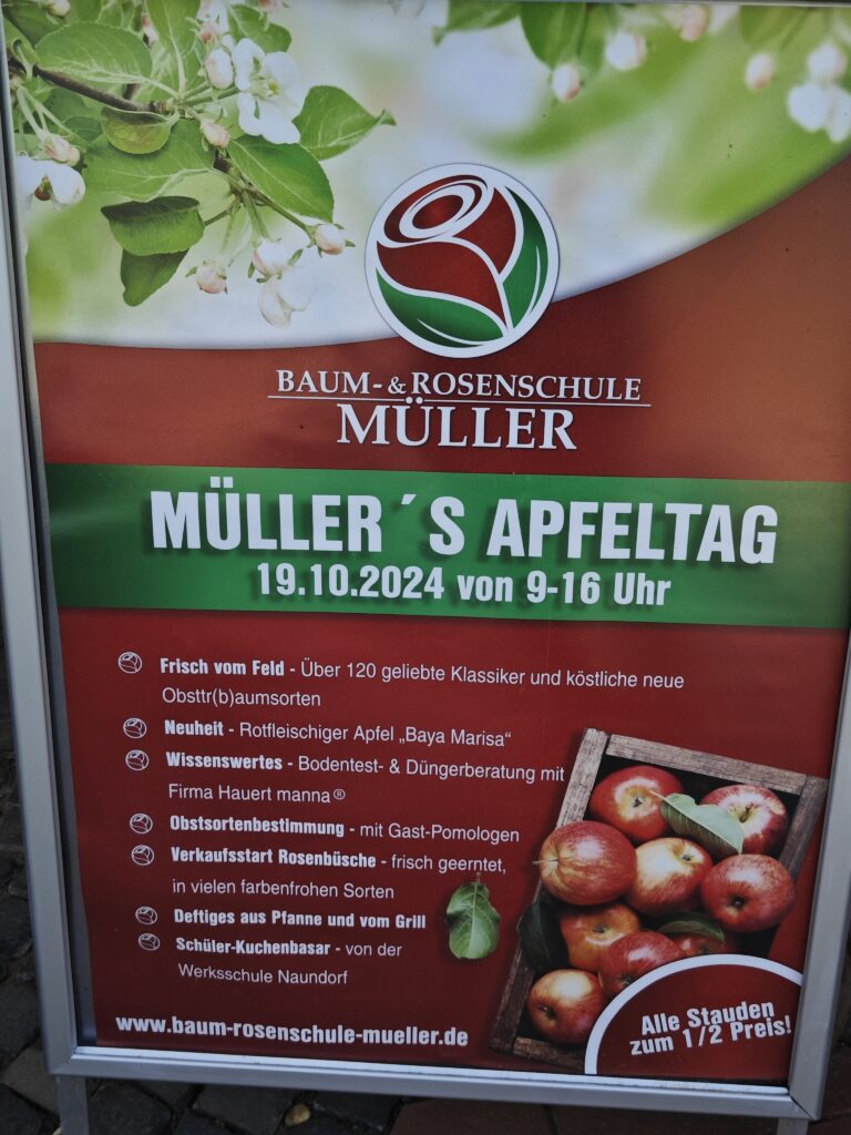 Apfeltag 2024 bei Müller in Oschatz Baumschule Gartencenter