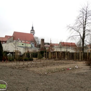 Ausstellungsbereich1