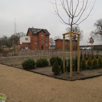 Ausstellungsbereich2